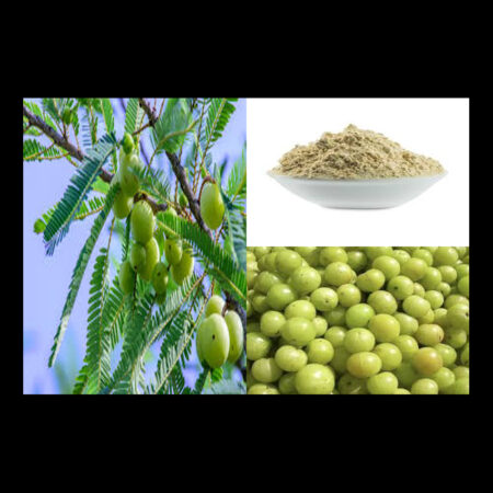 Organic Amla,Real amalaki,Indian gooseberry, Amalaki Powder, Whole amla, Ground amla,Immune booster,Healthy herb,Promotes Skin, Hair Growth,