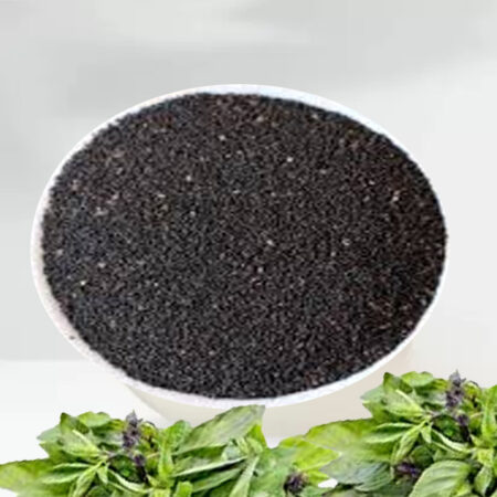 Sweet Basil Seeds, Thai Basil Seeds, Sabja Seeds, Tukmaria, Organic seeds, Dried seeds, Herbal seeds,