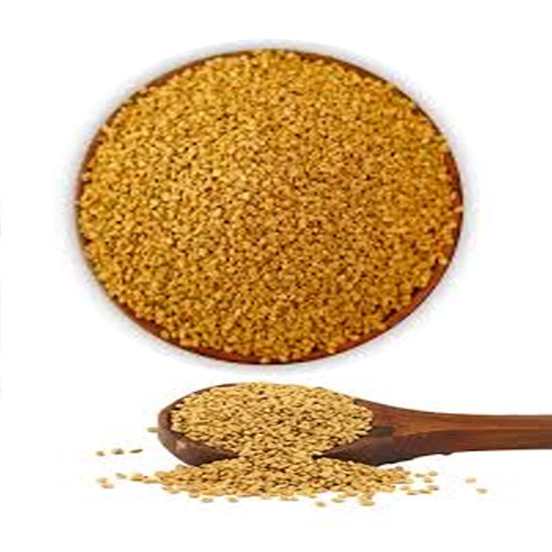 Organic Fenugreek seed, Fenugreek powder, Methi dana, Trigonella, Whole fenugreek, Ground fenugreek, Healthy herb, Natural fenugreek